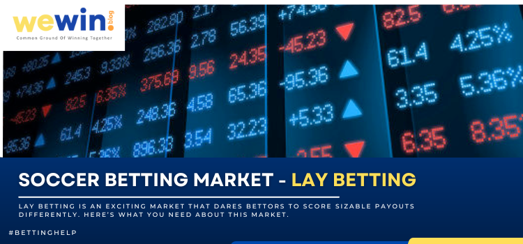 Lay Betting Blog Featured Image